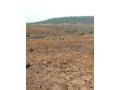 50m-by-50m-plot-for-sale-in-chilanga-small-2