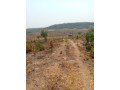 50m-by-50m-plot-for-sale-in-chilanga-small-1