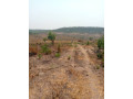 50m-by-50m-plot-for-sale-in-chilanga-small-0