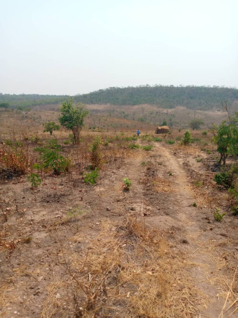 50m-by-50m-plot-for-sale-in-chilanga-big-0