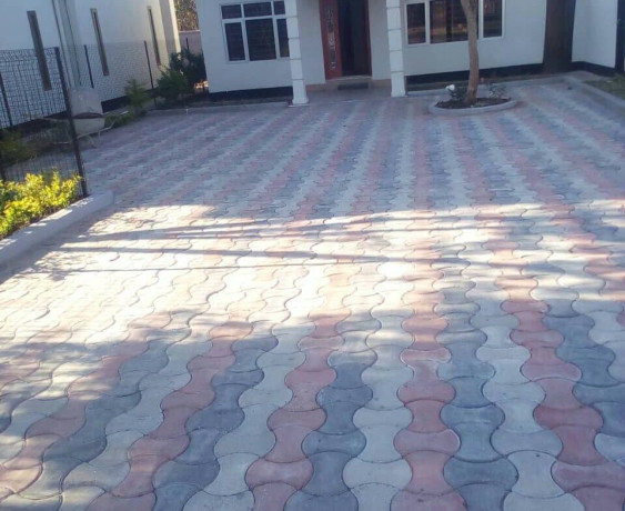 2-bedroom-house-for-rent-in-roma-big-4