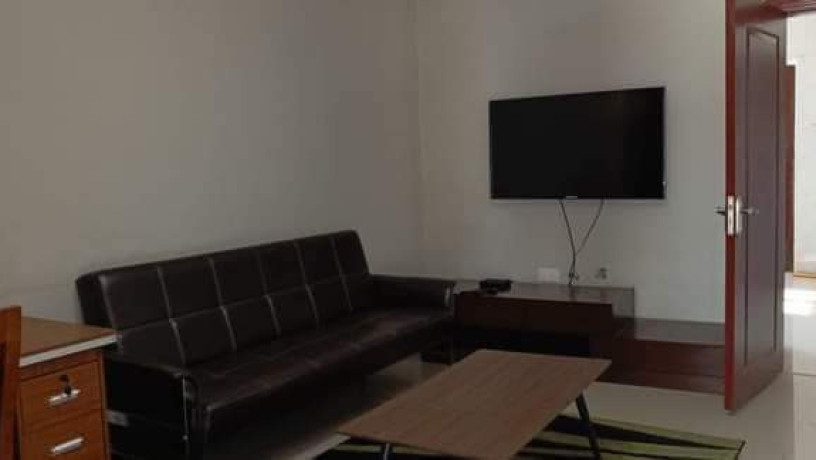 2-bedroom-fully-furnished-flat-for-rent-in-roma-park-big-3