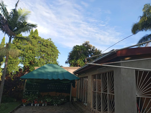 house-for-sale-in-roma-big-6