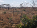 500-hectare-land-for-sale-in-mumbwa-small-2