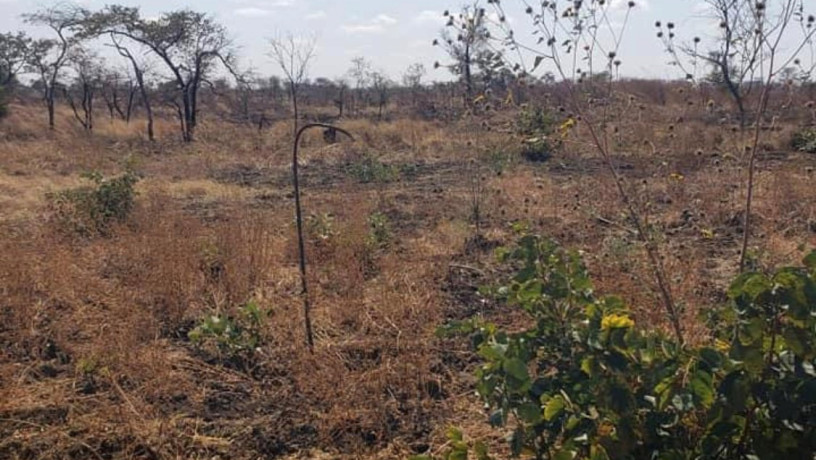 500-hectare-land-for-sale-in-mumbwa-big-2