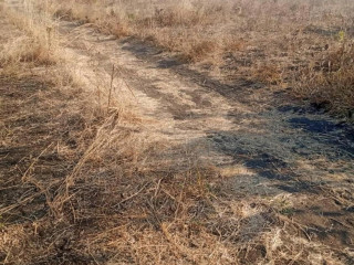 500-hectare-land-for-sale-in-mumbwa