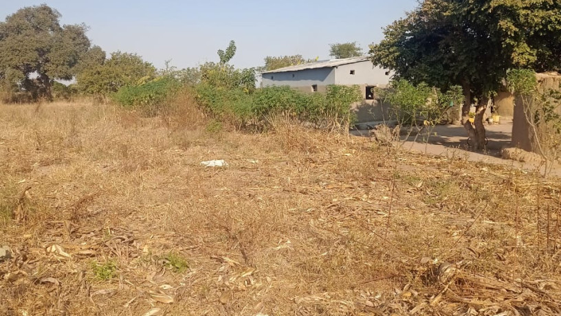 land-for-sale-in-stumbeko-area-big-3