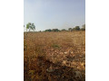 land-for-sale-in-stumbeko-area-small-1