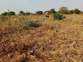 farm-land-for-sale-in-stumbeko-area-small-1