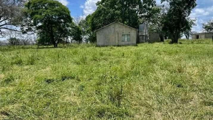 farm-for-sale-in-mazabuka-big-4