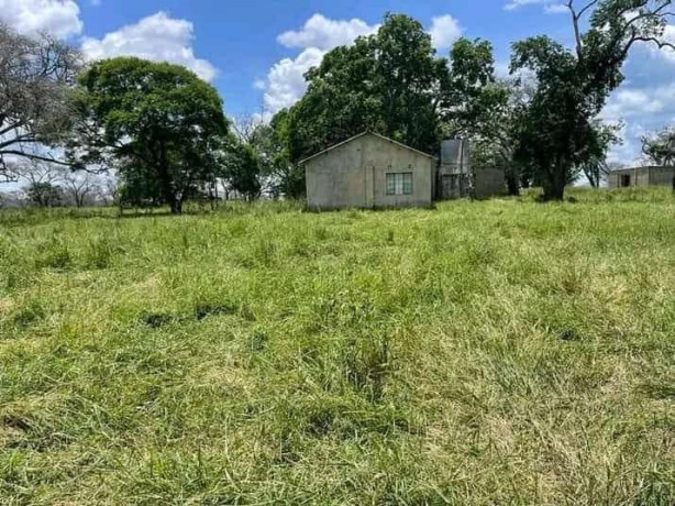 farm-for-sale-in-mazabuka-big-4