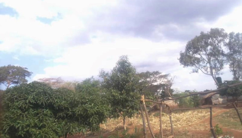 3-acre-plot-for-sale-in-lilayi-big-1