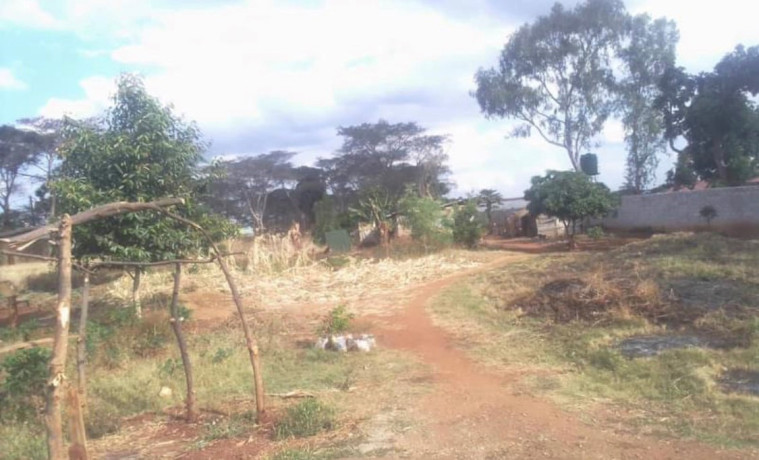 3-acre-plot-for-sale-in-lilayi-big-2