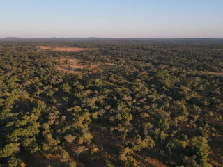 210 Hectare Land For Sale in Mpongwe