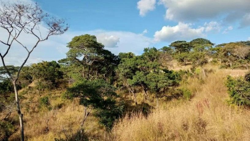 612-acre-plot-for-sale-in-kafue-big-3