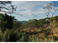 612-acre-plot-for-sale-in-kafue-small-2