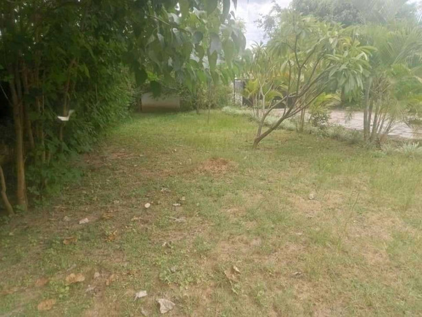 3-bedroom-house-for-sale-in-meanwood-big-5