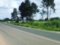 17-acre-plot-for-sale-in-ngwerere-small-1