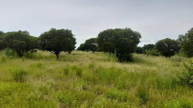 plots-for-sale-in-ngwerere-area-big-0