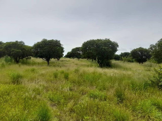plots-for-sale-in-ngwerere-area