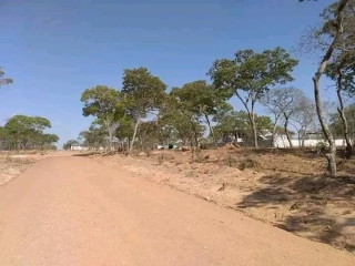 Plot For Sale in New Kasama