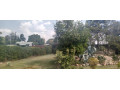3-bedroom-flats-for-sale-in-ibex-hill-small-6