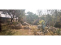 3-bedroom-flats-for-sale-in-ibex-hill-small-3
