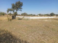 60-acres-farm-land-for-sale-in-kacheta-small-1