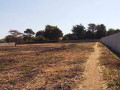 60-acres-farm-land-for-sale-in-kacheta-small-6