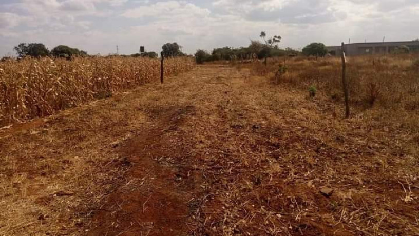 60-acres-farm-land-for-sale-in-kacheta-big-5