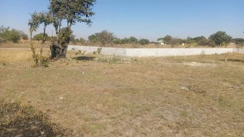 60-acres-farm-land-for-sale-in-kacheta-big-1