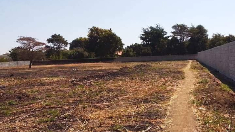 60-acres-farm-land-for-sale-in-kacheta-big-6