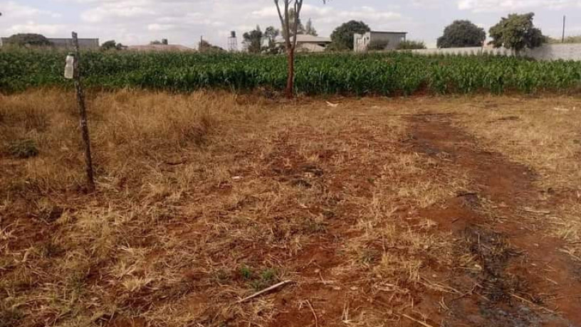 60-acres-farm-land-for-sale-in-kacheta-big-3