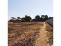 60-acres-farm-land-for-sale-in-kacheta-small-6