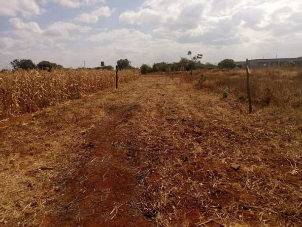 60-acres-farm-land-for-sale-in-kacheta-big-5