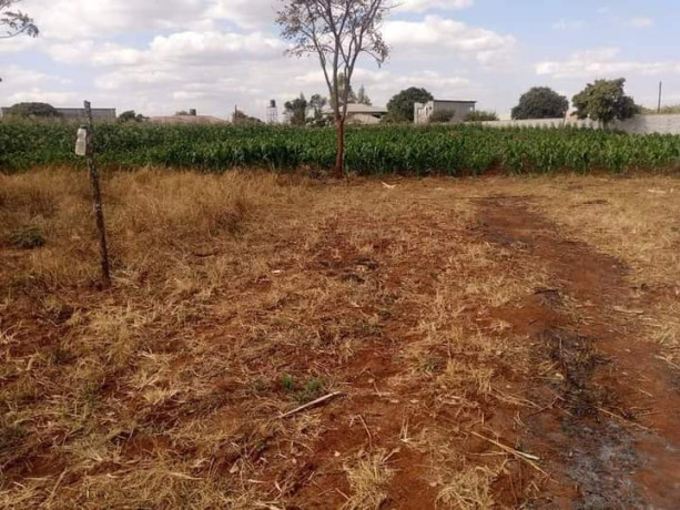 60-acres-farm-land-for-sale-in-kacheta-big-3