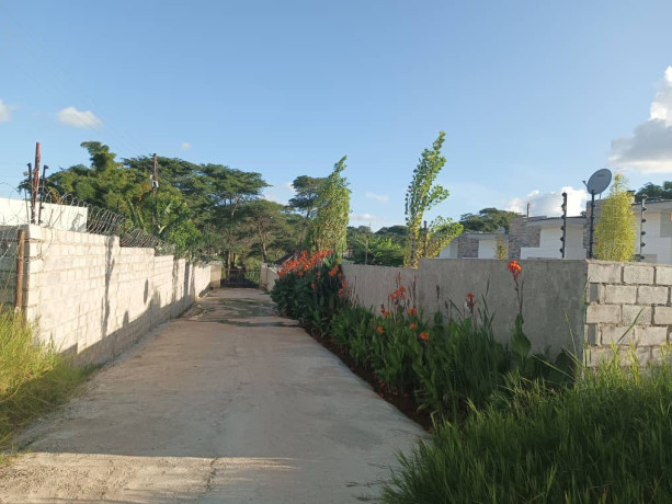 land-for-sale-in-ibex-big-4