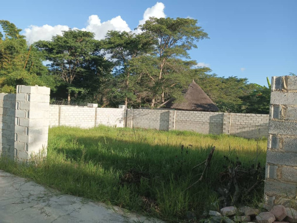 land-for-sale-in-ibex-big-1