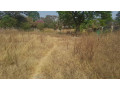 land-for-sale-in-situmbeko-small-0