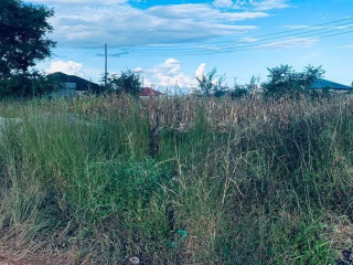 30m by 20m Plot For Sale in Meanwood Ndeke