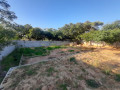 land-for-sale-in-ibex-hill-area-small-4