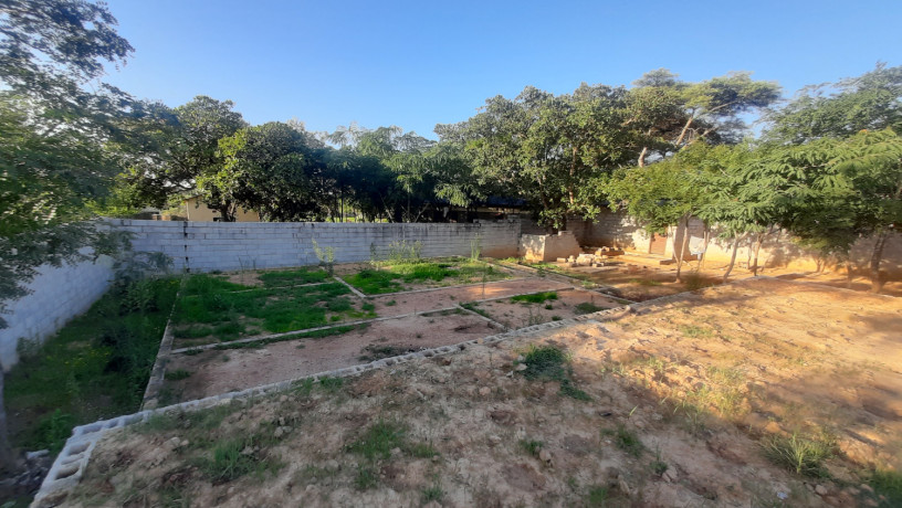 land-for-sale-in-ibex-hill-area-big-4