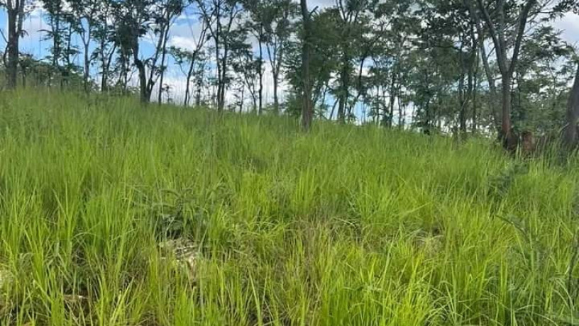 65x54-plot-for-sale-in-new-kasama-big-5