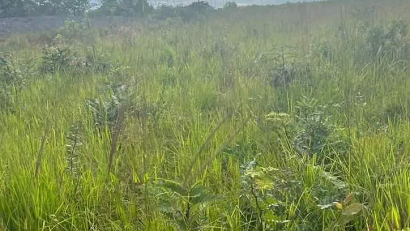 65x54-plot-for-sale-in-new-kasama-big-4