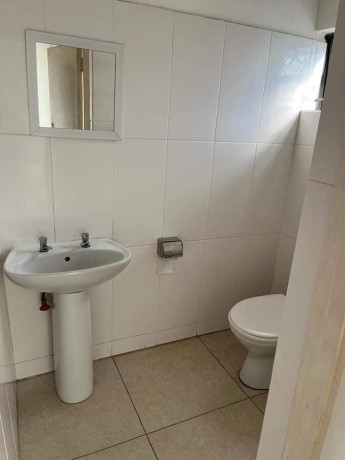 4-bedroom-house-for-rent-in-roma-big-1