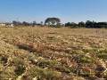 14-acre-plot-for-sale-in-lusaka-west-small-4