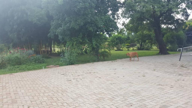 farm-house-for-sale-in-lusaka-west-big-3