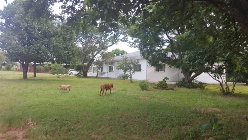 farm-house-for-sale-in-lusaka-west-big-8