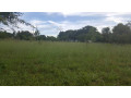 farm-house-for-sale-in-lusaka-west-small-0