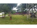 farm-house-for-sale-in-lusaka-west-small-5